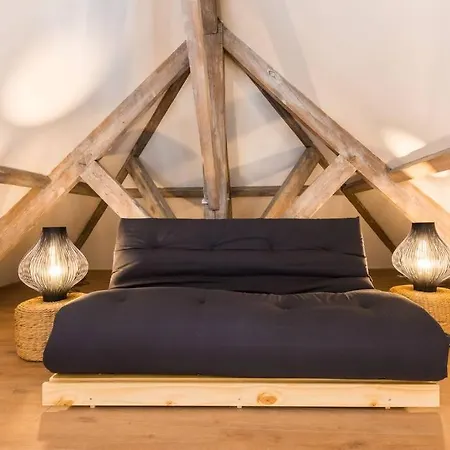 Daire Magnifique Loft Type Boutique A