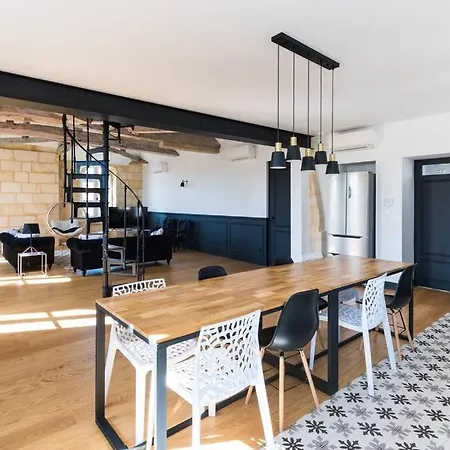 Magnifique Loft Type Boutique A Libourne